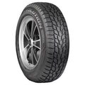 Winter 245/50R20 102T Passenger Tire E838336