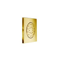 Satin Gold Shower Jet Q60795