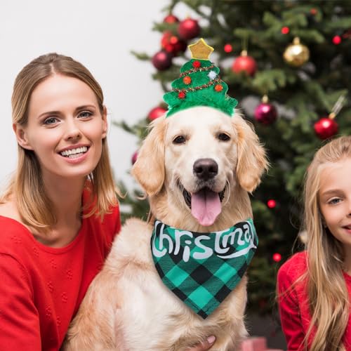 12 Pc Christmas Dog Bandanas Set Y658220