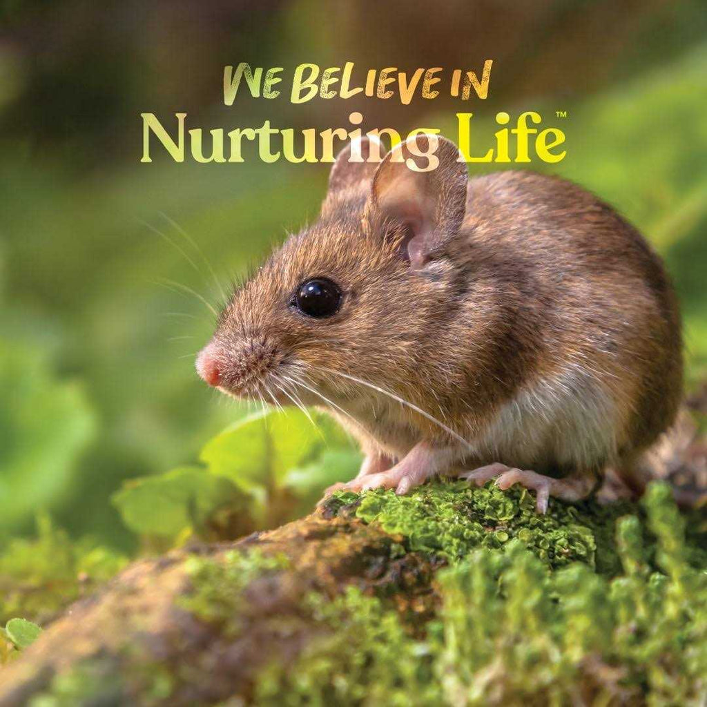 Small World Mouse and Rat Complete Feed J26480