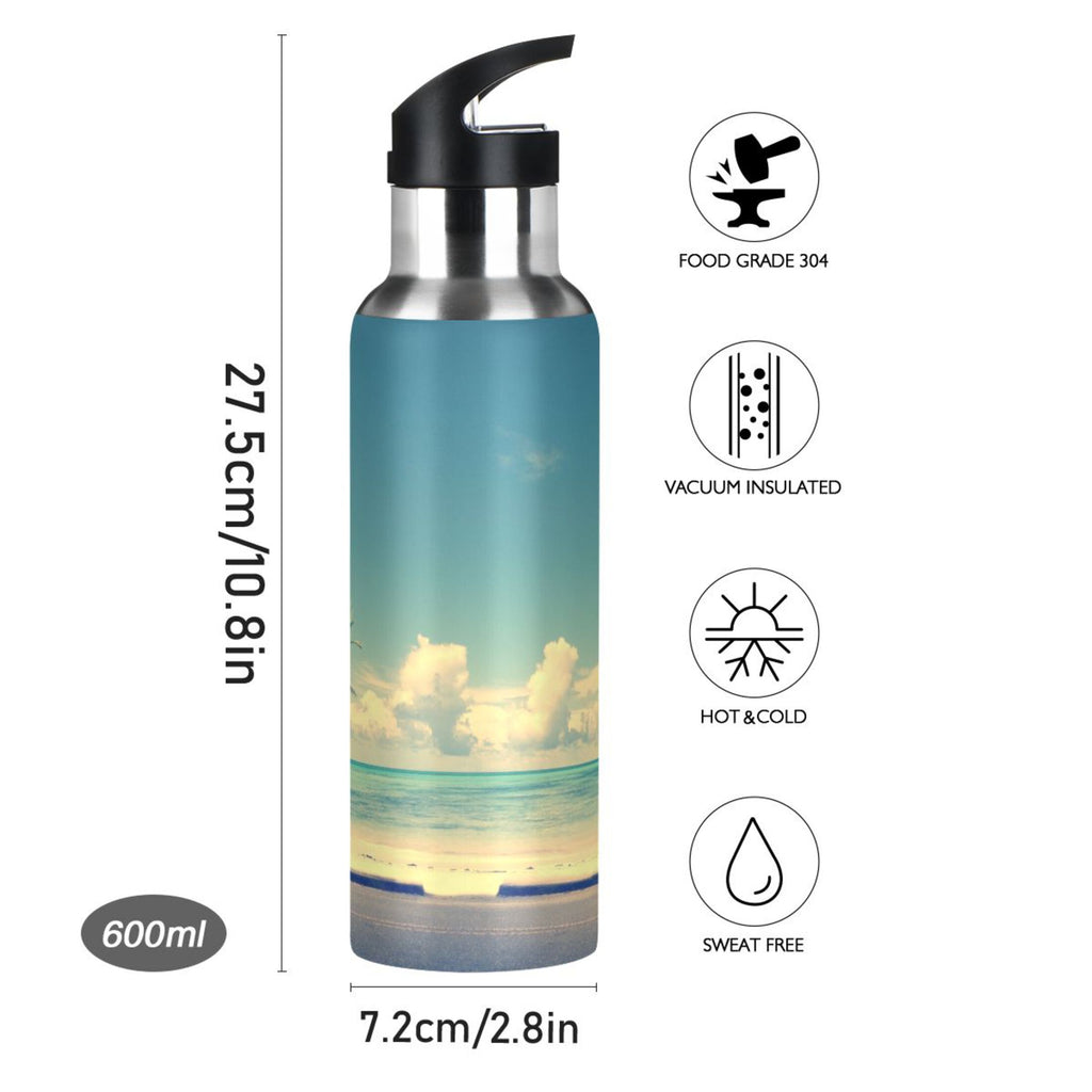 Insulated Stainless Steel Water Bottle with Straw Lid 20 oz D209