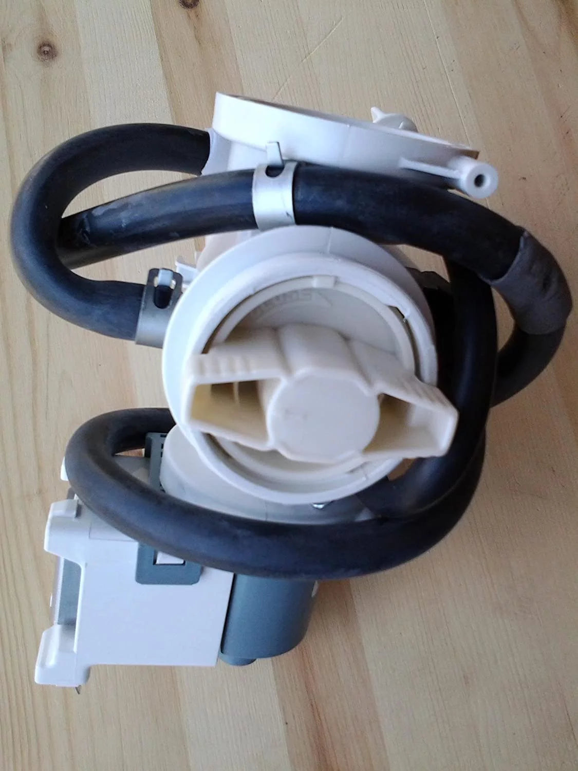 Drain Pump T62504