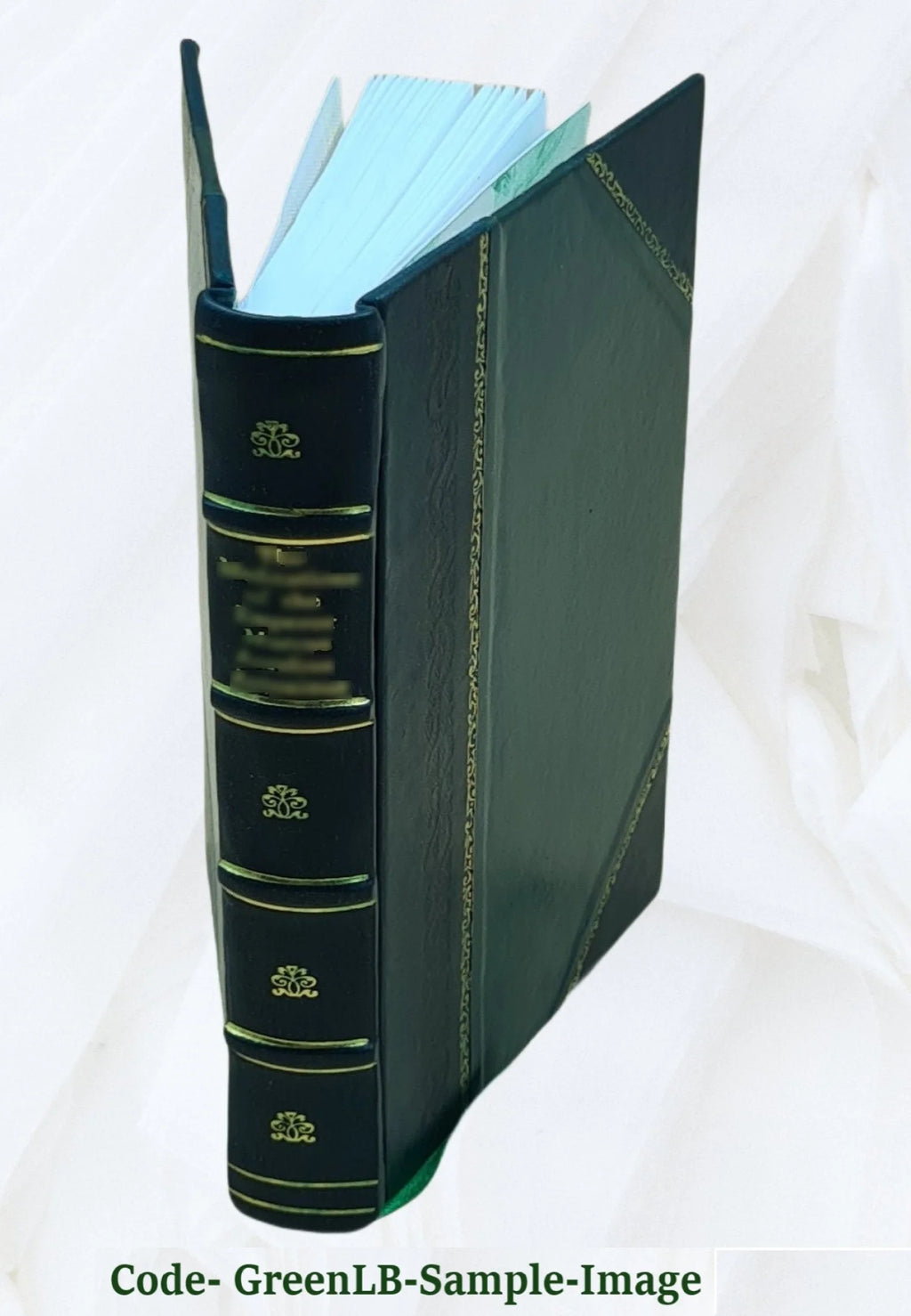 Leather Bound Book D546