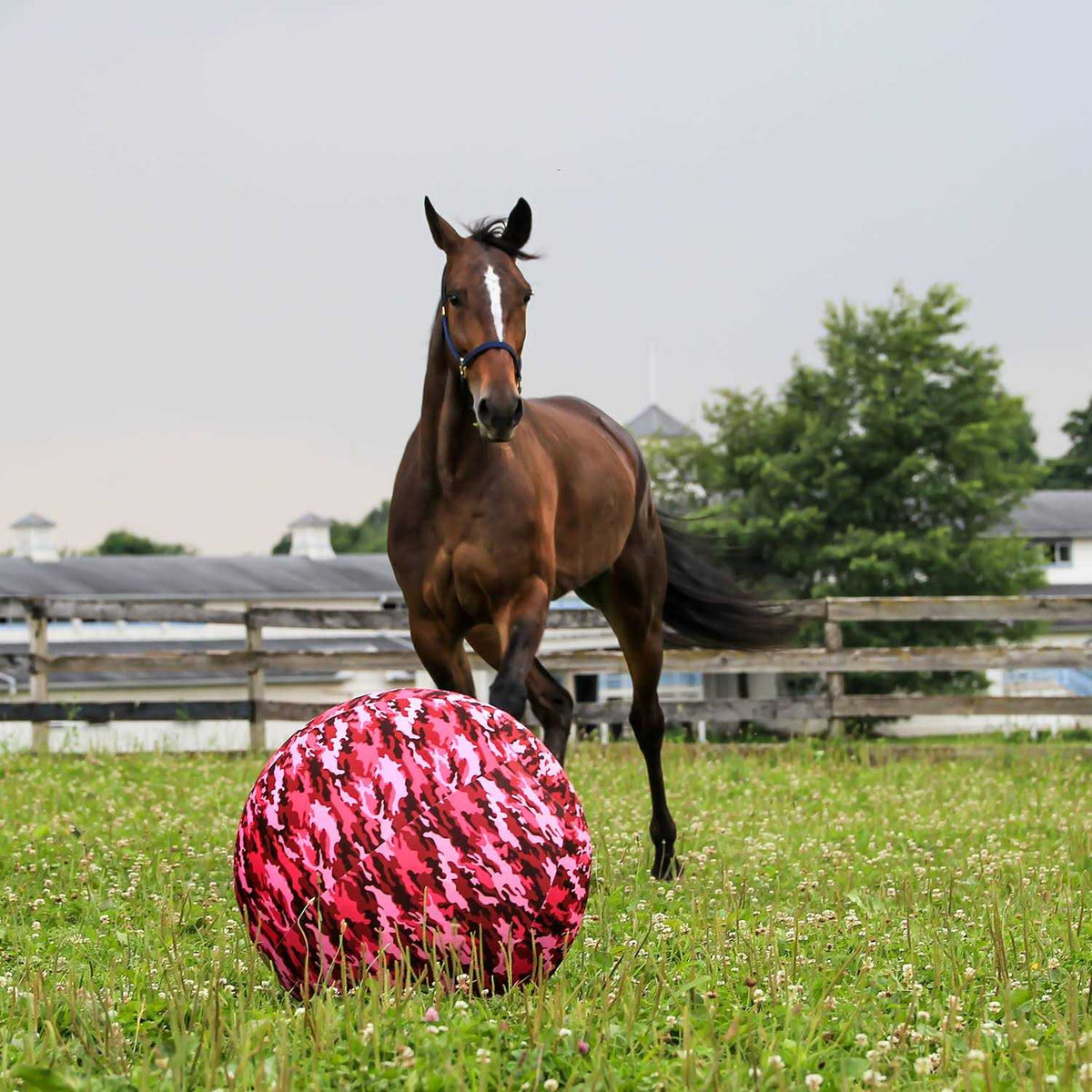 Horsemen’s Pride Mega Ball Cover V525398