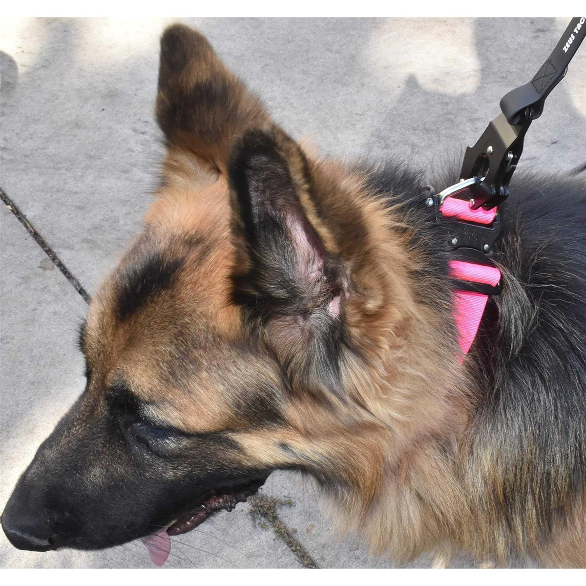 Heavy Duty Dog Leash Quick Release Locking Carabiner U47586