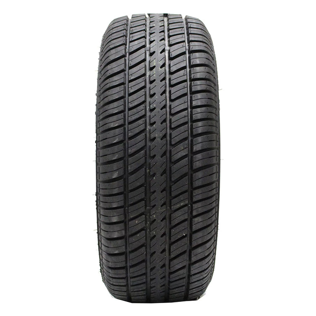 All Season P225/70R14 98T Passenger Tire N81408