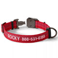 Dog Collar E597