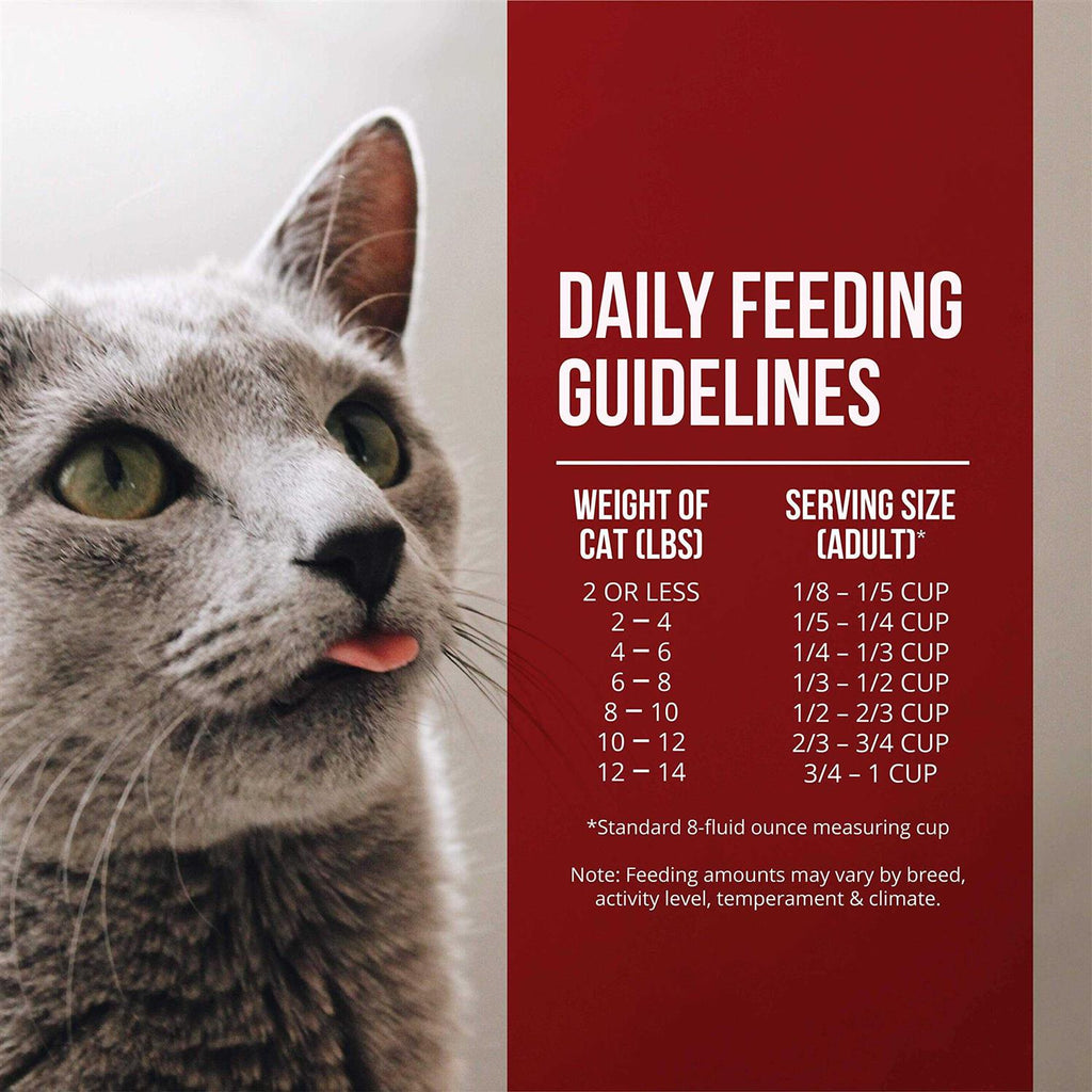 Dry Cat Food Chicken Turkey N6178