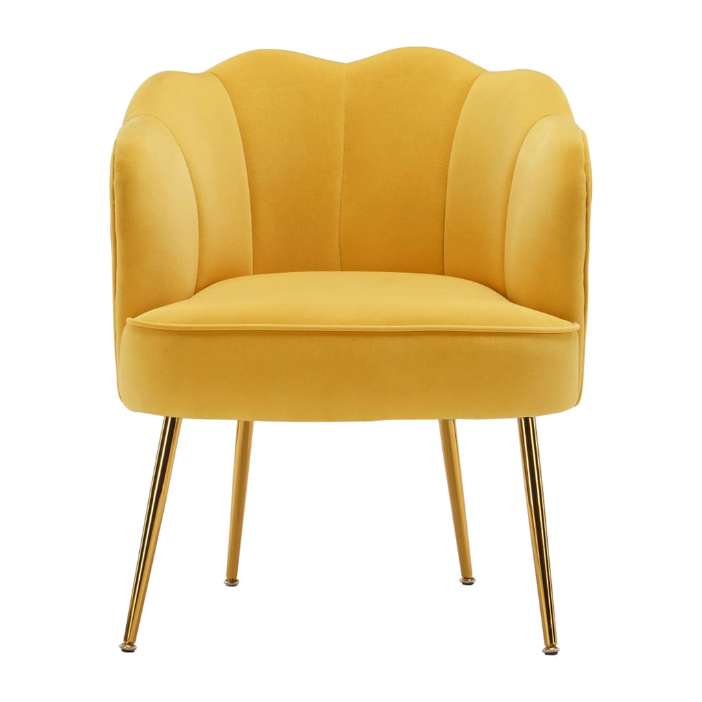 Yellow Velvet Shell Shape Armchair with Gold Legs U5600