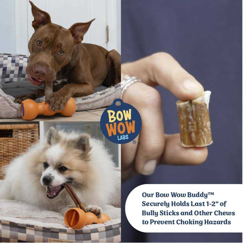 Bully Stick Holder for Dogs Starter Kit G9692