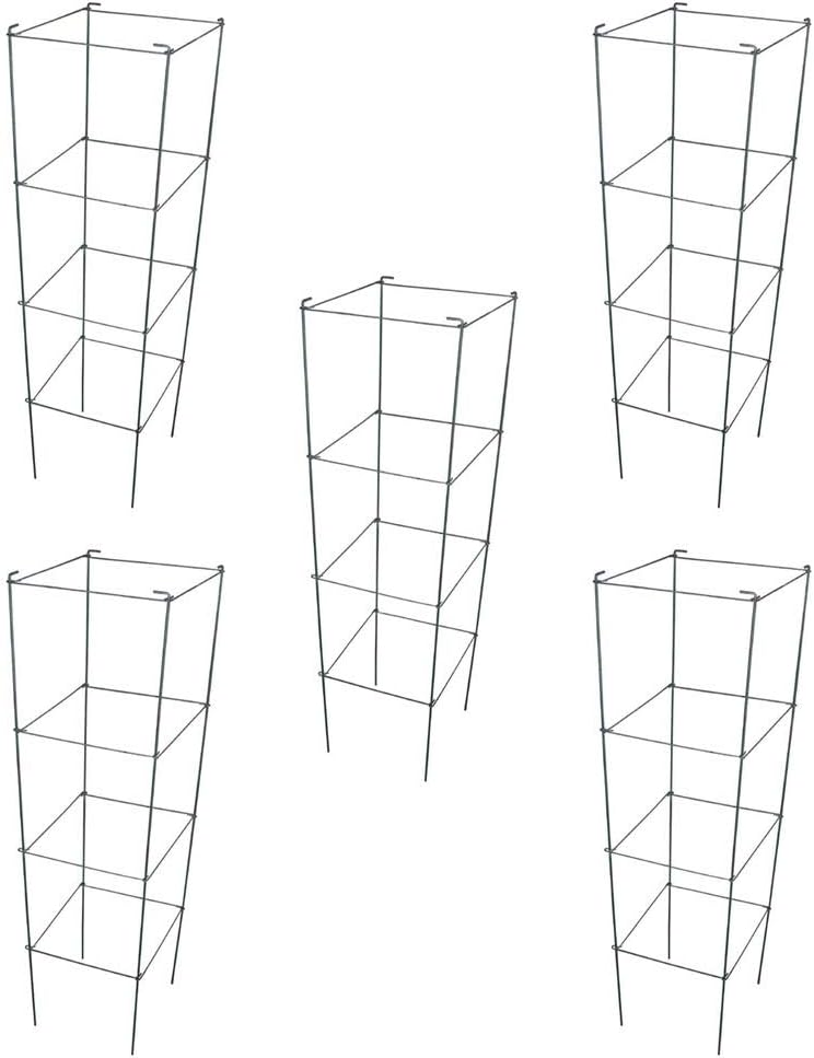 Green Square Folding Tomato Cage Plant Support Tower 12 inch by 46 inch, Pack of 5 Sets Y700174