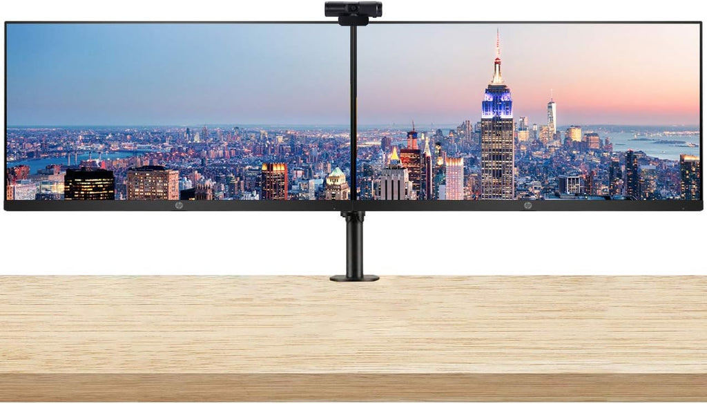 23.8 Inch FHD IPS LED Monitor 2-Pack with Webcam and Dual Monitor Stand S28619