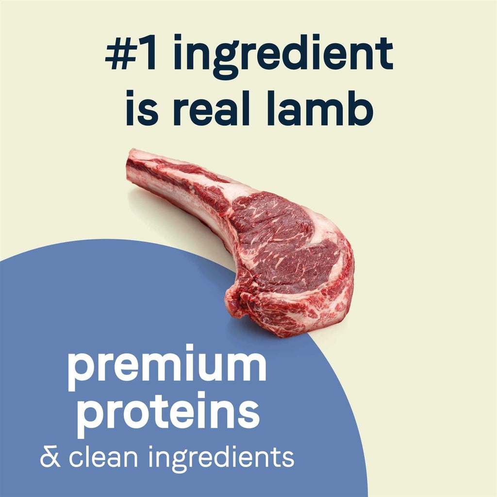 Grain-Free Lamb Dry Dog Food H2836