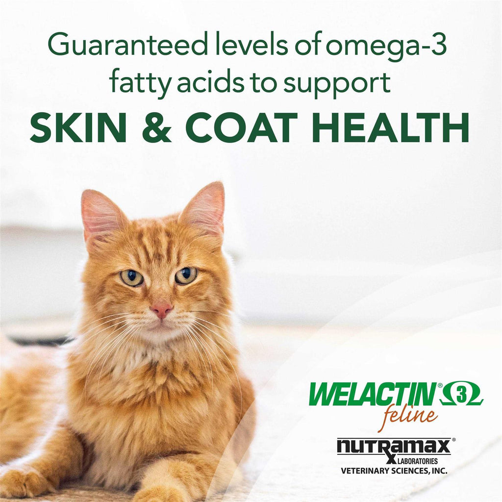 Omega-3 Fish Oil Liquid Skin & Coat Supplement for Cats O60145