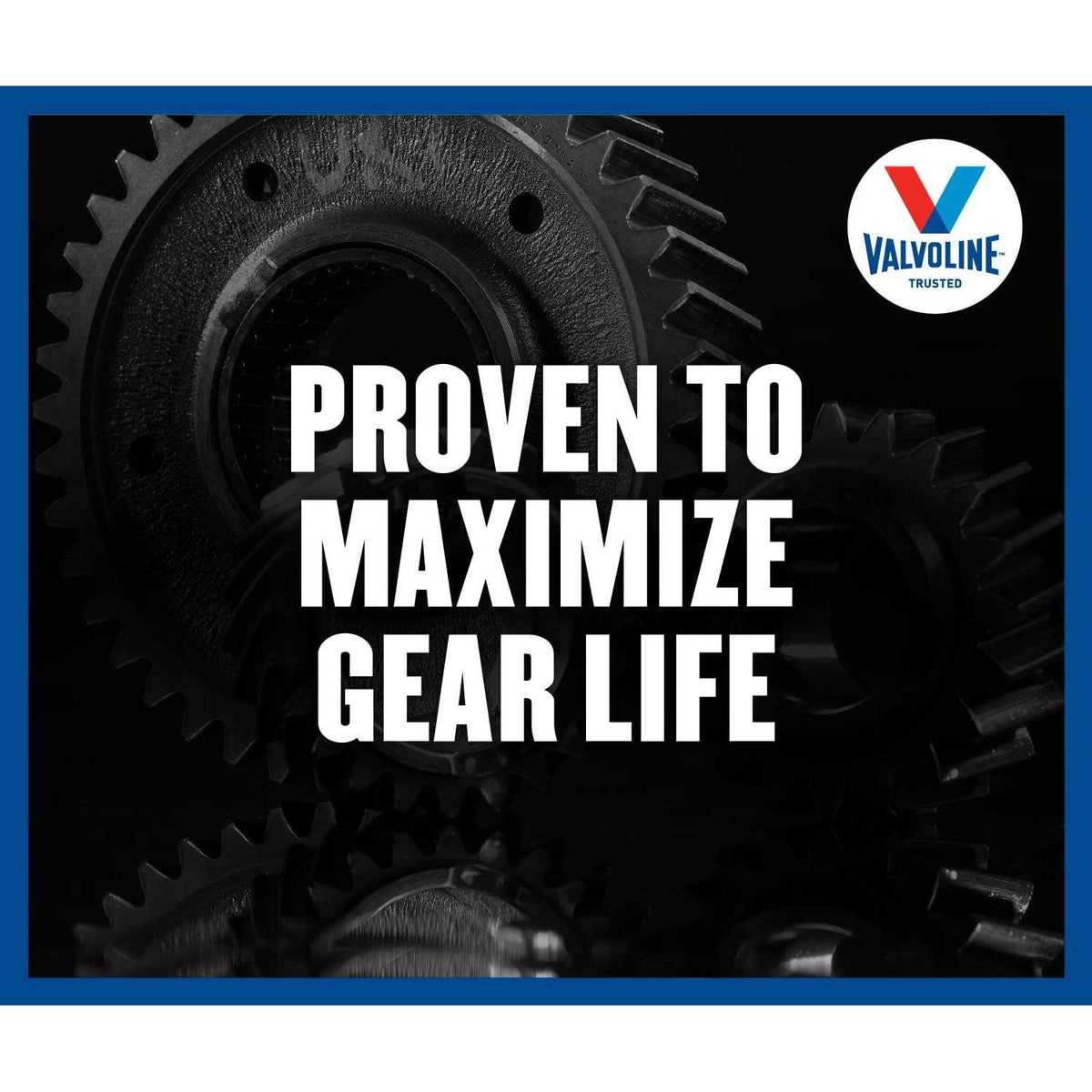 Full Synthetic Gear Oil B894