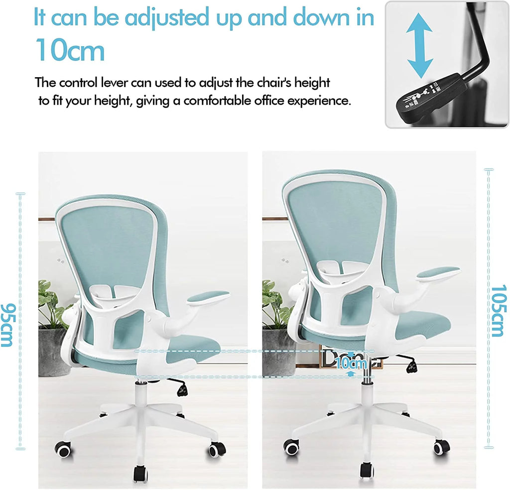 Black Ergonomic Office Chair with Lumbar Support W235