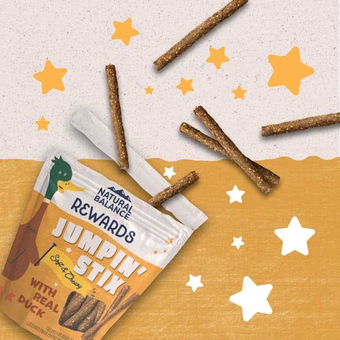 Dog Treats H2425