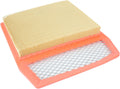 Air Filter Cleaner Pack of 2 H43812