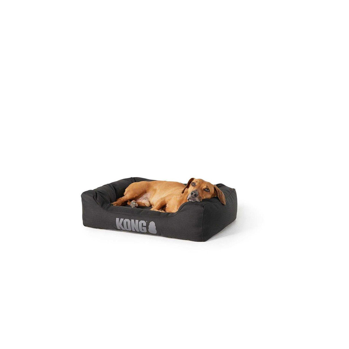 4-Sided Cuddler Dog Bed Z44619
