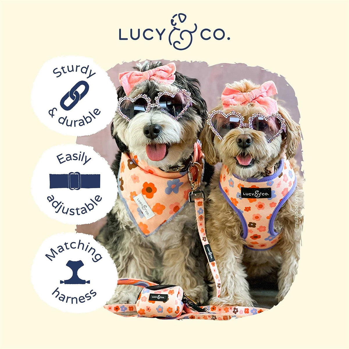 Adjustable Dog Collar T522