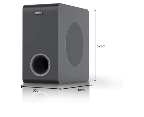 6.5'' Side Firing Powered Subwoofer N5497