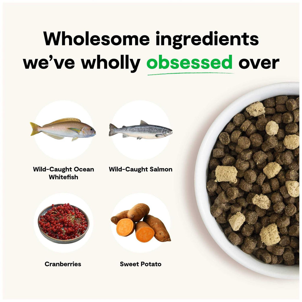 Grain-Free Dog Food D2375