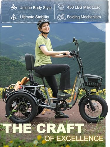 1200W 48V 20AH 18''×4'' Fat Tire Folding Electric Tricycle E81460
