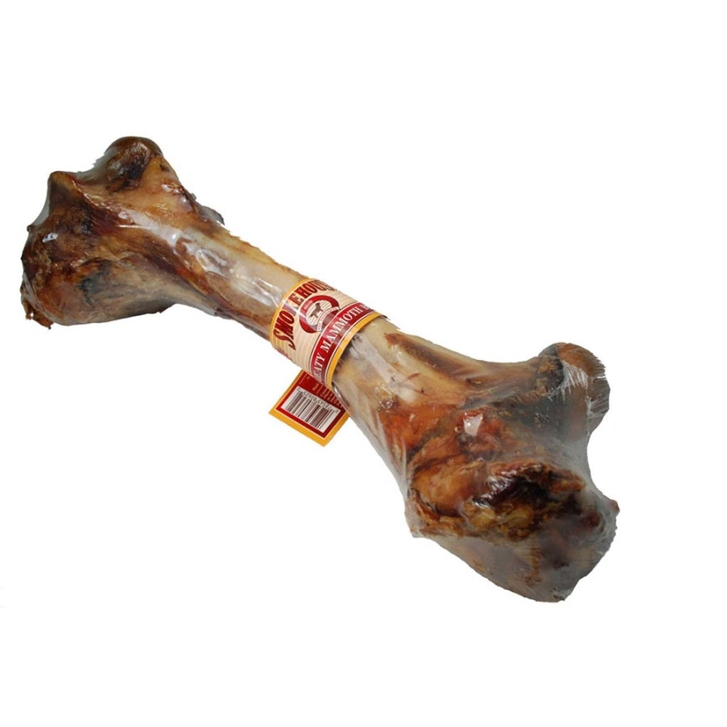 Meaty Mammoth Bone N5137