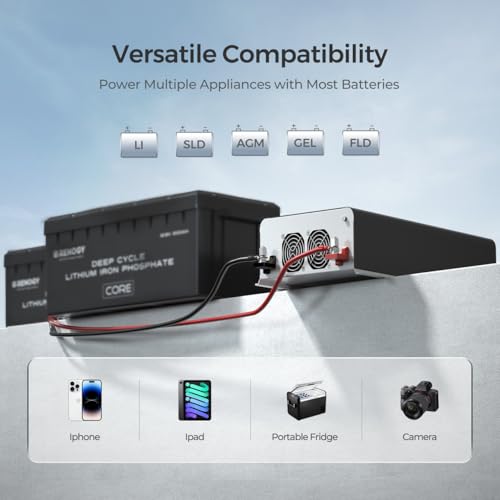 3000W Pure Sine Wave Power Inverter with UPS Transfer Switch F5686