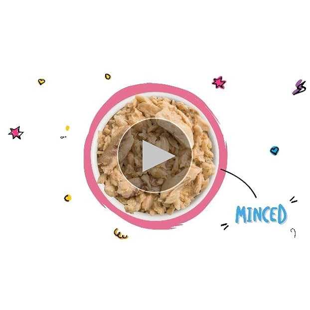 Cat Canned Food L238