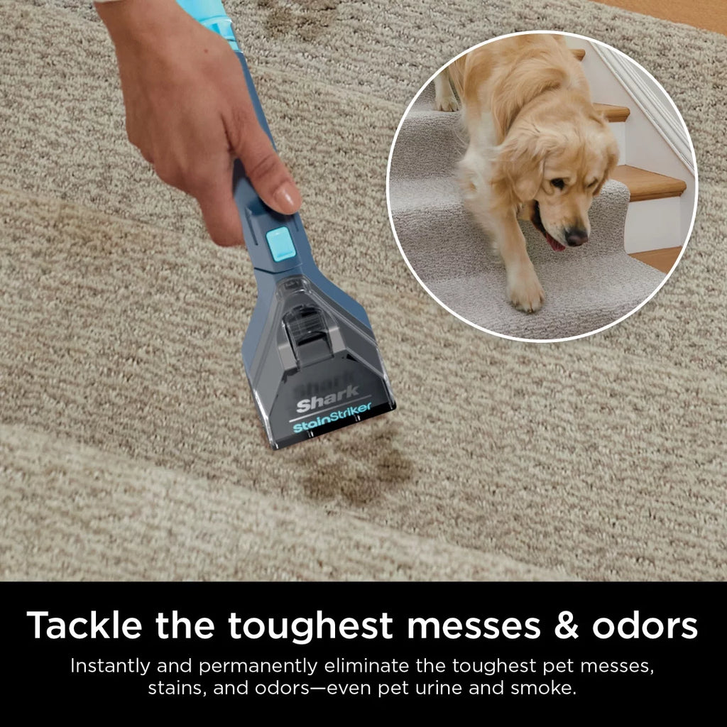Portable Carpet & Upholstery Cleaner W6907