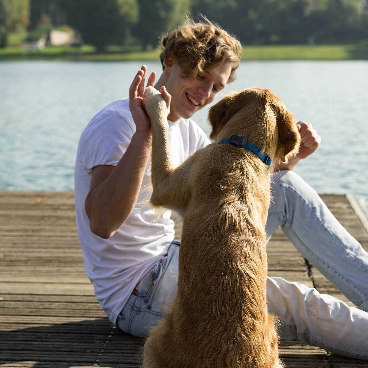 Dog Activity Monitor Health & Fitness Tracker Y810