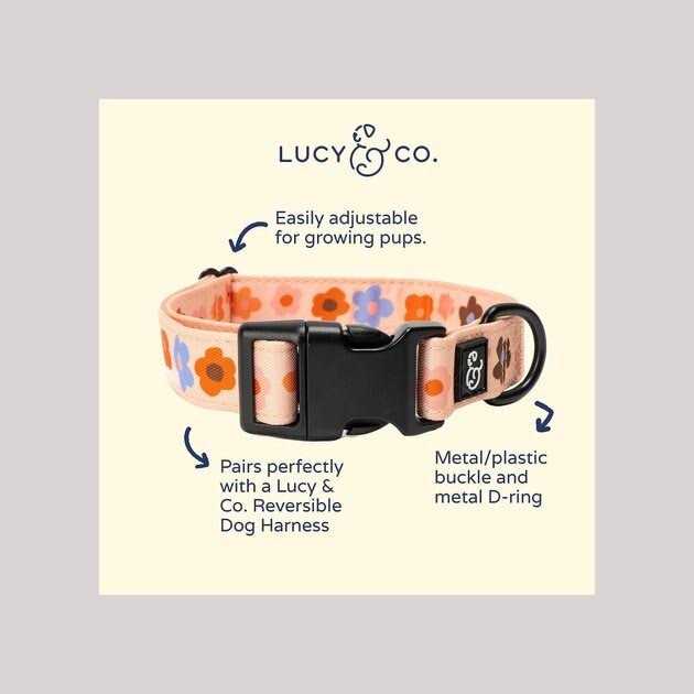 Adjustable Dog Collar T522