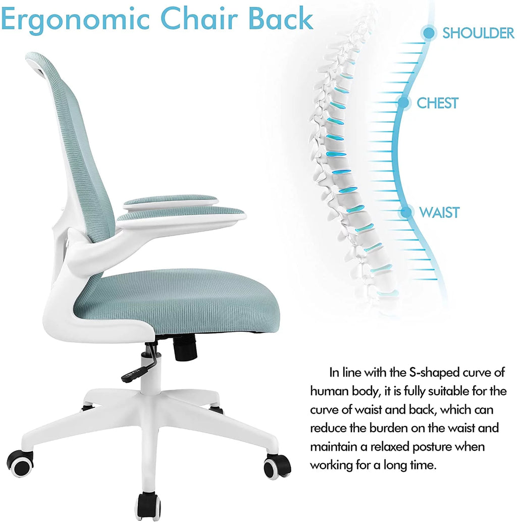 Black Ergonomic Office Chair with Lumbar Support W235