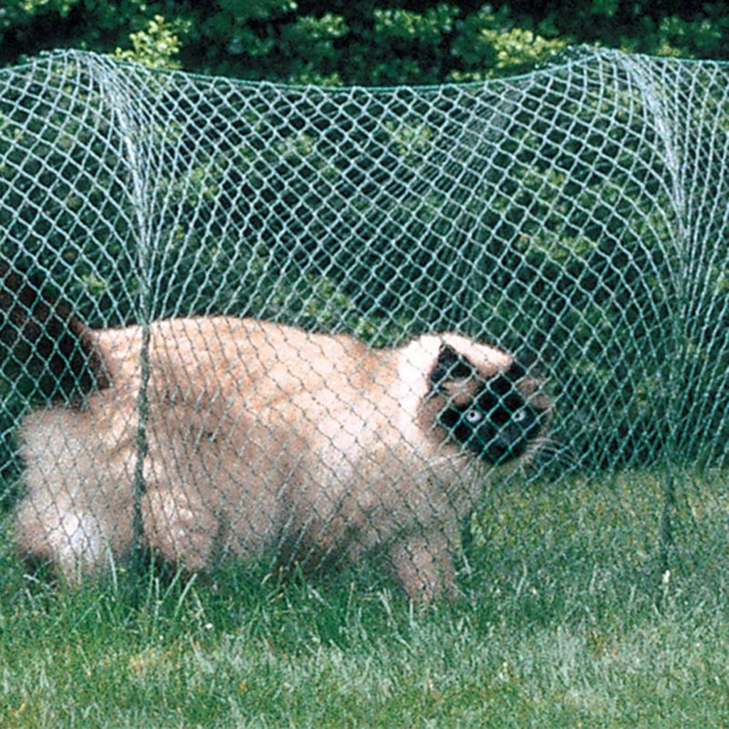 Green Outdoor Cat Enclosure I4095