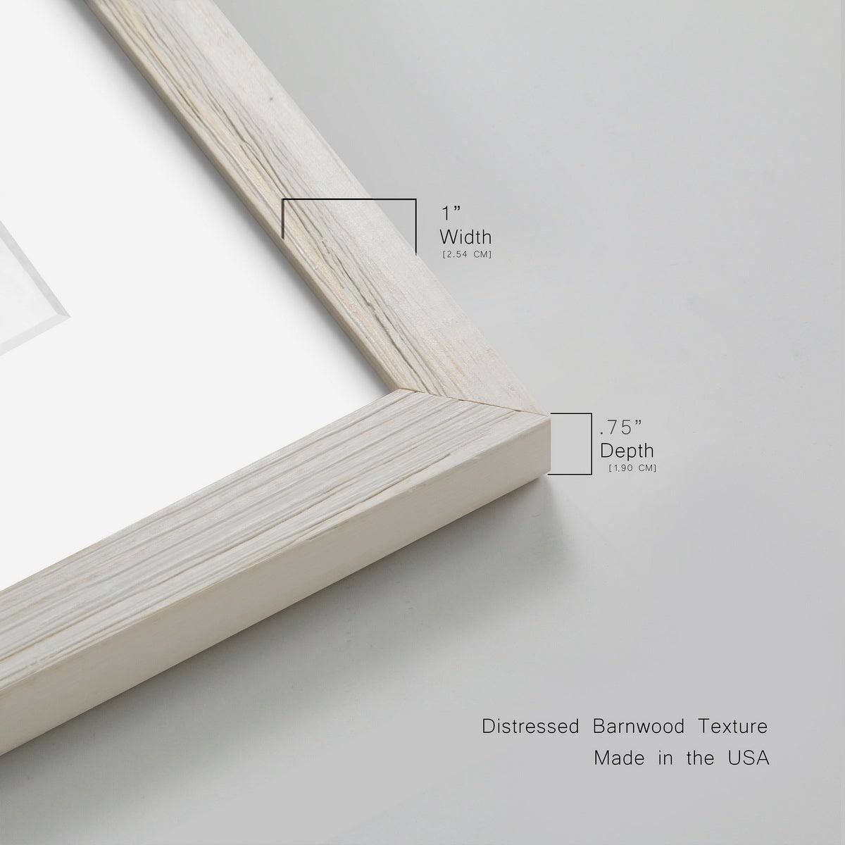 Framed Print D17610