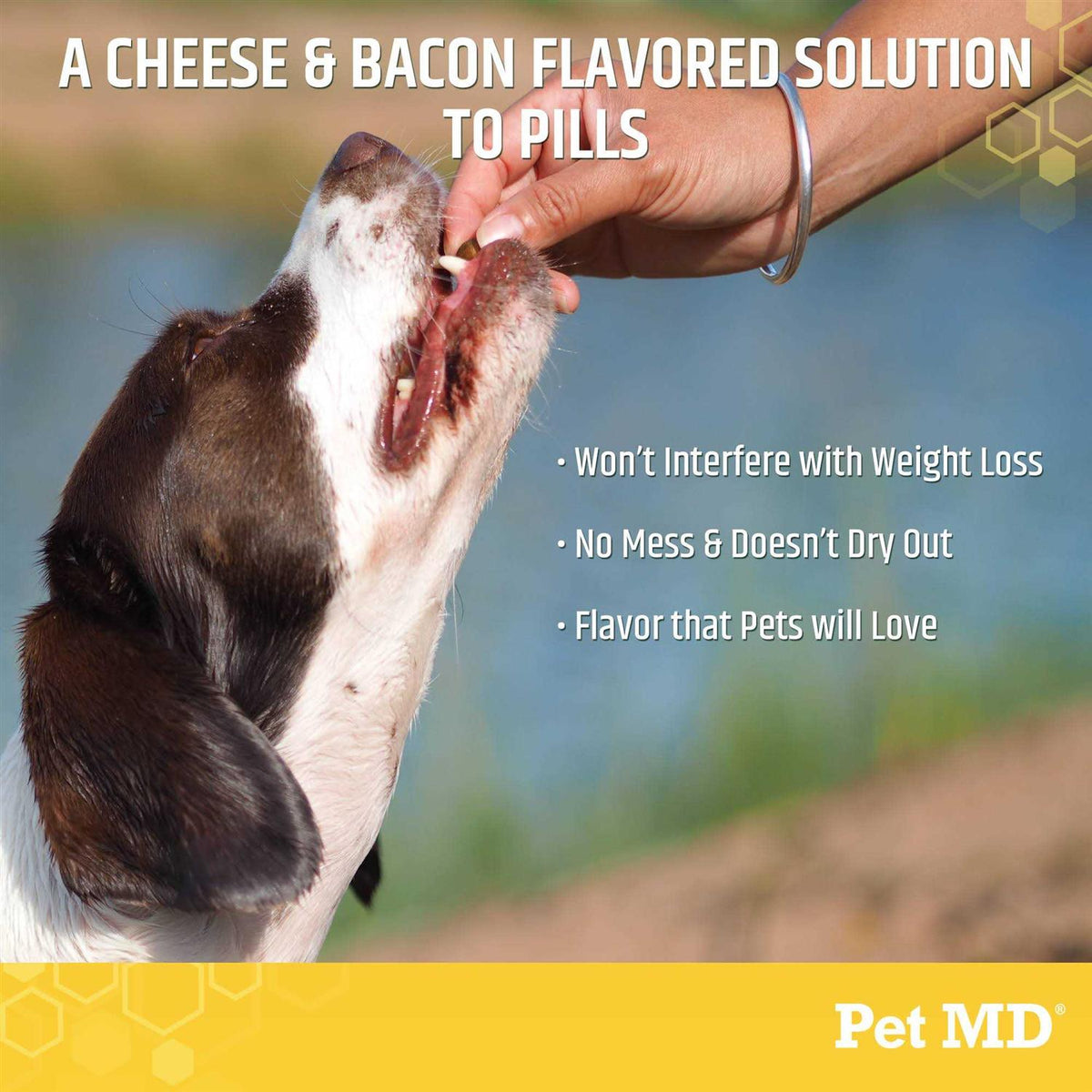 Cheese & Bacon Flavor Pill Paste for Dogs M27425