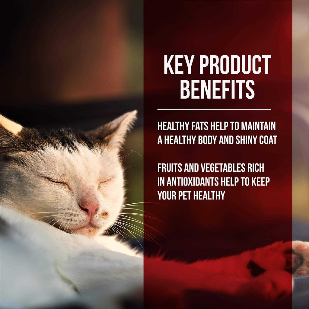Dry Cat Food Chicken Turkey N6178