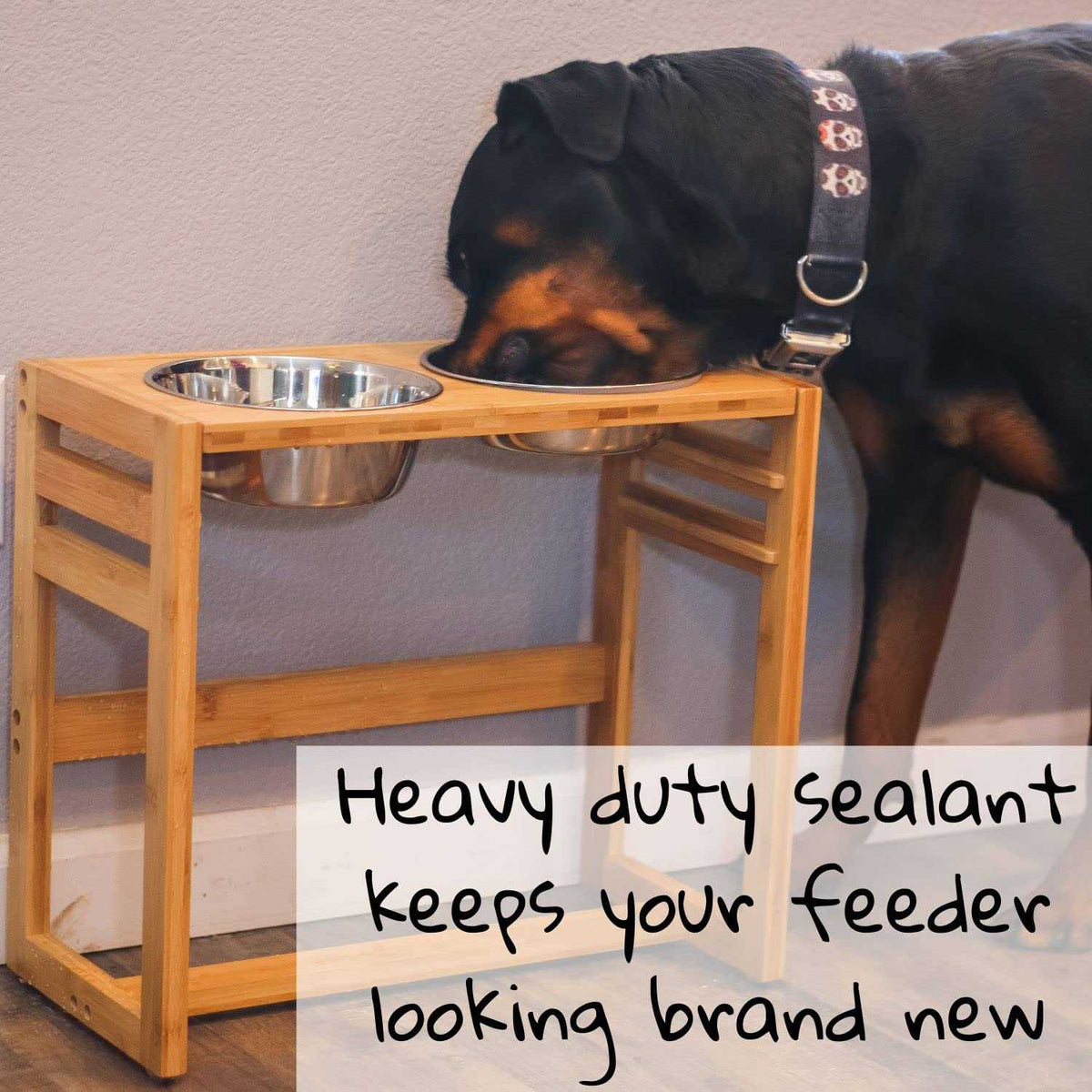 Adjustable Height Elevated Dog Bowls with Four Stainless Steel Bowls F412