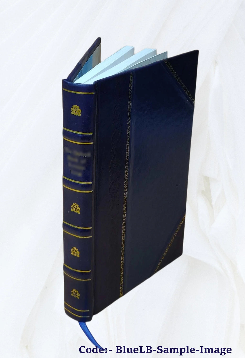 Leather Bound Book D546