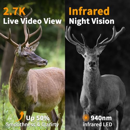 Cellular Trail Camera with Night Vision Motion Activated Waterproof IP66 M467