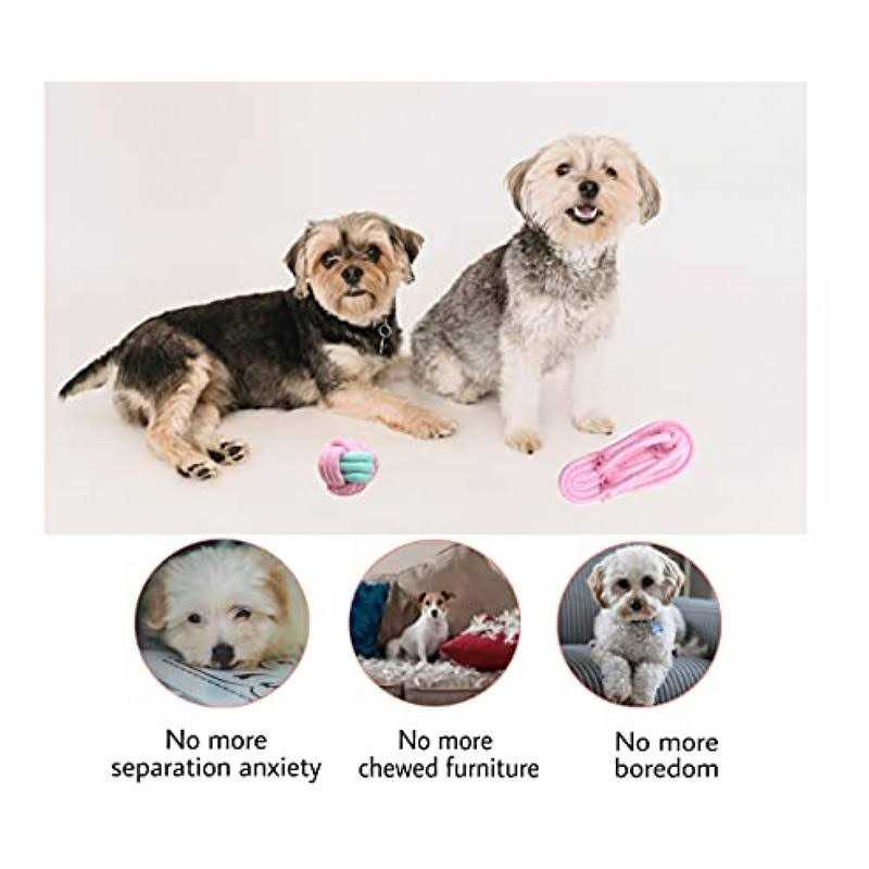 Dog Hanging Bungee Tug Toy Interactive Tether Tug-of-War R380