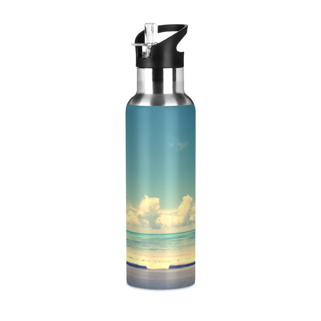 Insulated Stainless Steel Water Bottle with Straw Lid 20 oz D209