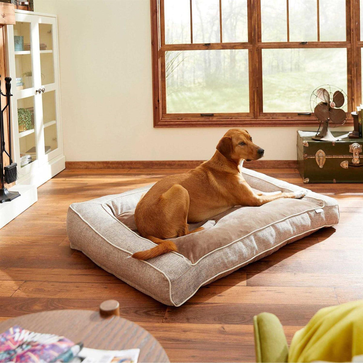 Orthopedic Bolster Dog Bed with Removable Cover L121961