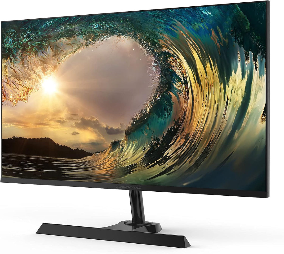 24 inch FHD Desktop Monitor L701366