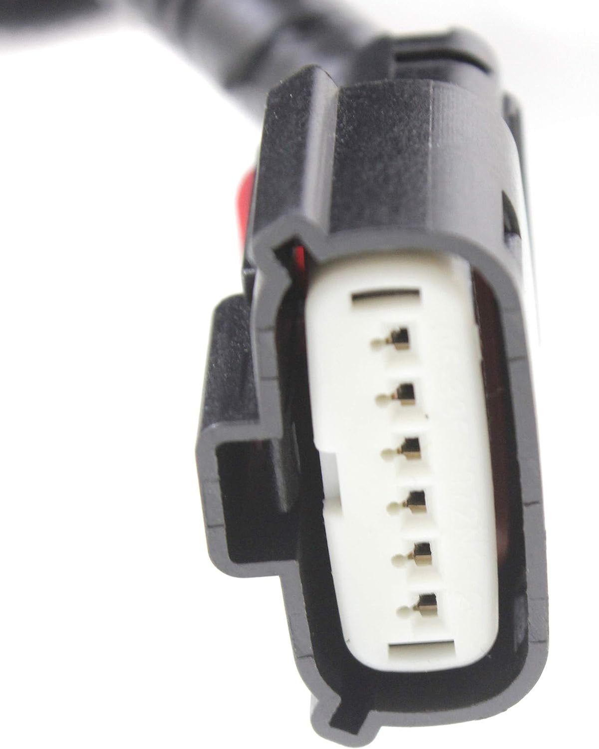 Tail Light Assembly N596006