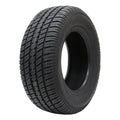 All Season P225/70R14 98T Passenger Tire N81408