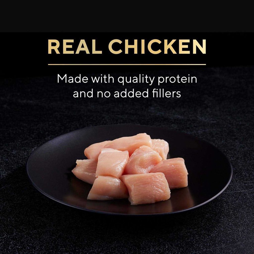 Chicken in Alfredo Sauce Wet Cat Food I621
