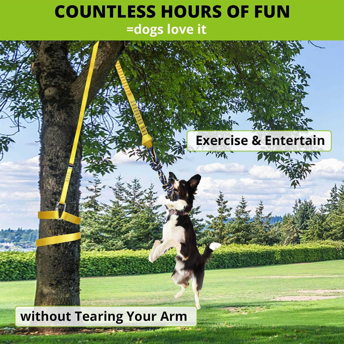 Dog Hanging Bungee Tug Toy Interactive Tether Tug-of-War R380