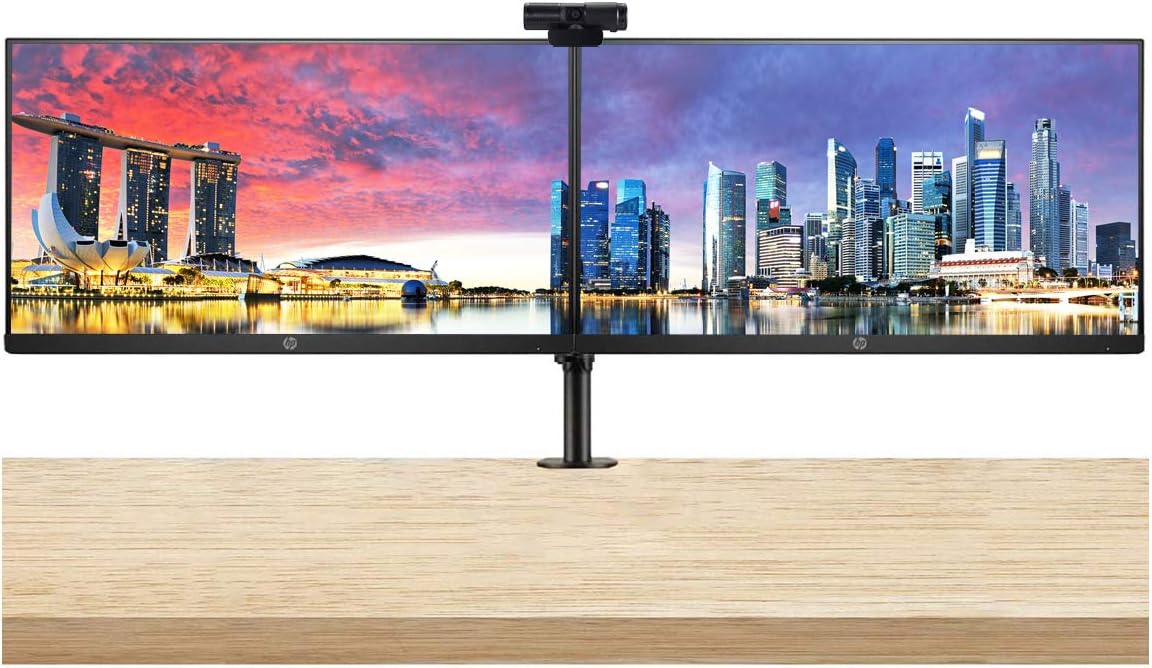 23.8 Inch FHD IPS LED Monitor 2-Pack with Webcam and Dual Monitor Stand S28619